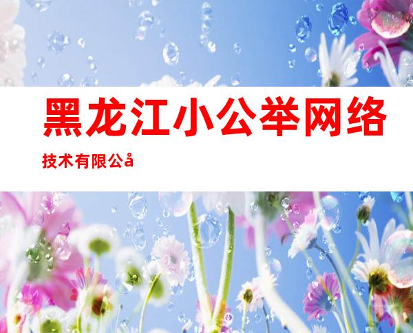 黑龙江小公举网络技术有限公司